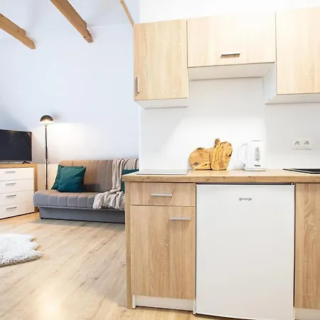Apartamenty U Nosa Zakopane Exterior photo