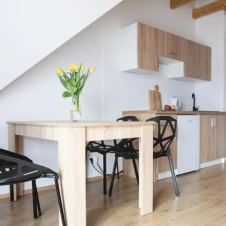 Apartamenty U Nosa Zakopane Exterior photo